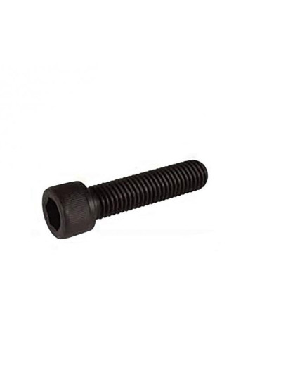 Scooter Clamp Bolt - BLUNT - 20mm - Unit