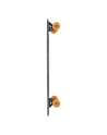 Longboard Skate - GLOBE Pintail - Kookaburra - 37"