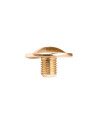 Skates Cuff Screw - FR SKATES UFR/FRX/GT/GTX/CJ/SX - Gold - Unit