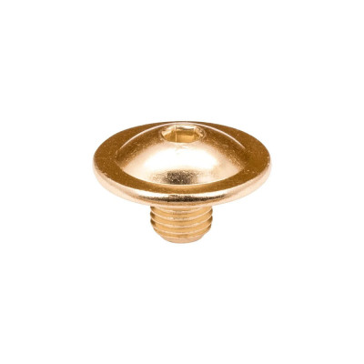 Skates Cuff Screw - FR SKATES UFR/FRX/GT/GTX/CJ/SX - Gold - Unit
