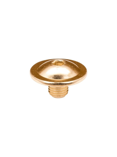 FR SKATES Cuff Screw Gold