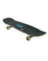 Skateboard GLOBE Disaster 2 Bamboo Free 8.75"
