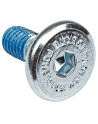 Vis Montage Roller - POWERSLIDE Hex - 13.5mm - Unité