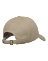 Cap - ELEMENT Icon Dad Twill - Aluminum