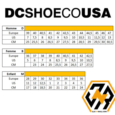 Chaussure Skate Enfant - DC SHOES Pure Elastic - White Black Green Blue - taille