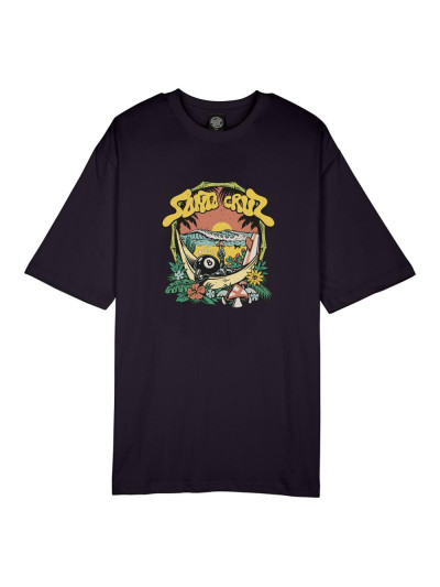 Women T-shirt - SANTA CRUZ Winkowski 8Baller Trip - Black