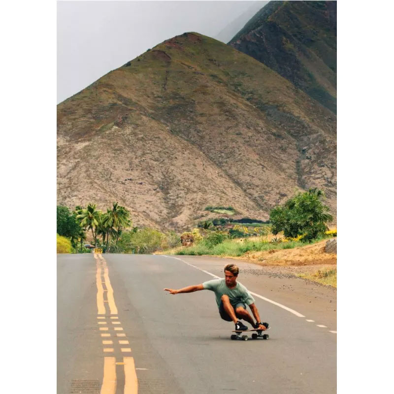 surfskate carver