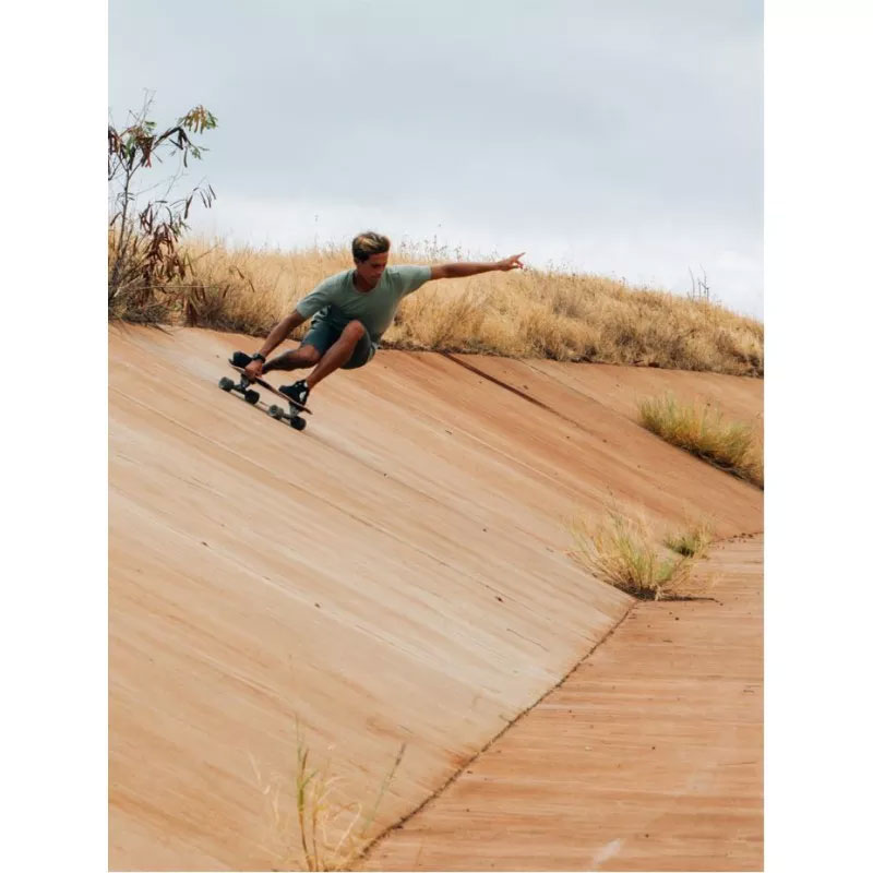 surfskate carver